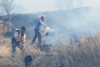 Residents and volunteer firefighters battle wildfire near Souris MB