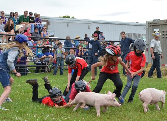 Pig scramble at Oak Lake Fair